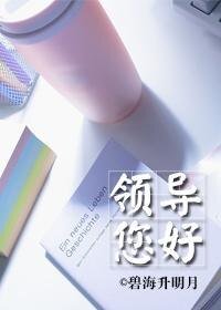 领导您好!GL