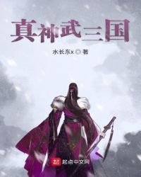 真神武三國