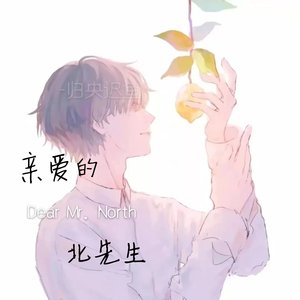 亲爱的北先生