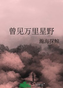 曾见万里星野