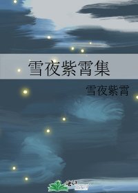 雪夜紫霄集