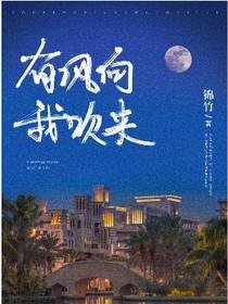 有風向我吹來