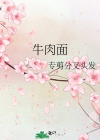 牛肉面